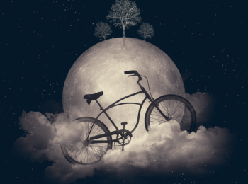 Moon bike 2019. La huerta: Natural-Mente